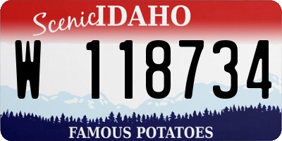 ID license plate W118734