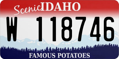 ID license plate W118746