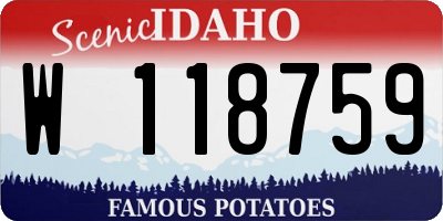 ID license plate W118759