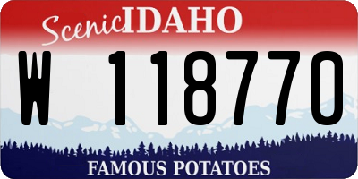 ID license plate W118770