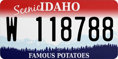 ID license plate W118788