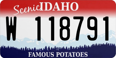 ID license plate W118791