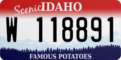 ID license plate W118891
