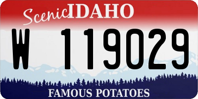ID license plate W119029
