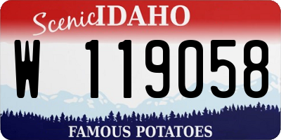 ID license plate W119058