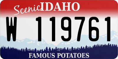 ID license plate W119761