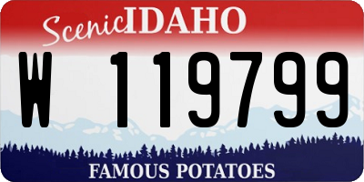 ID license plate W119799