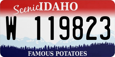 ID license plate W119823