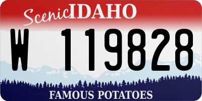ID license plate W119828