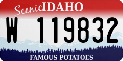 ID license plate W119832