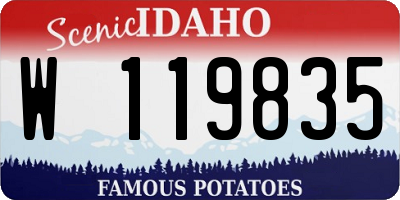ID license plate W119835