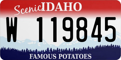 ID license plate W119845