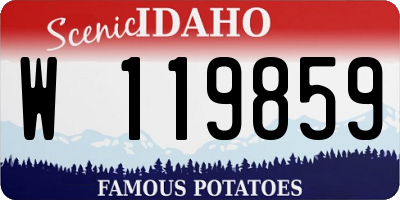 ID license plate W119859