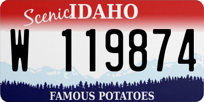ID license plate W119874