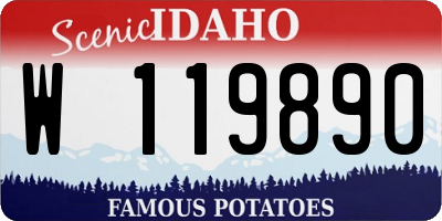 ID license plate W119890