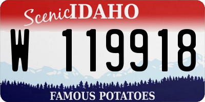 ID license plate W119918