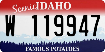 ID license plate W119947