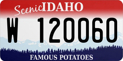 ID license plate W120060
