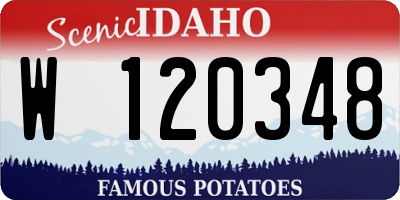 ID license plate W120348