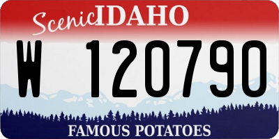 ID license plate W120790
