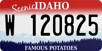 ID license plate W120825
