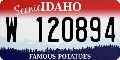 ID license plate W120894
