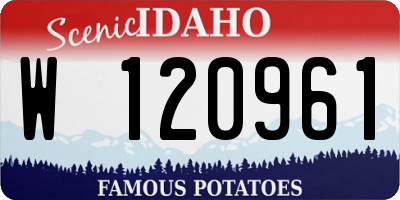 ID license plate W120961