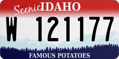 ID license plate W121177