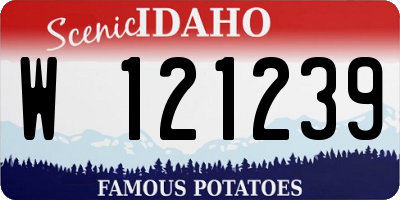 ID license plate W121239