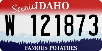 ID license plate W121873