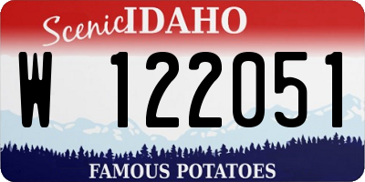 ID license plate W122051