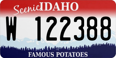 ID license plate W122388