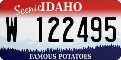 ID license plate W122495