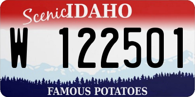 ID license plate W122501