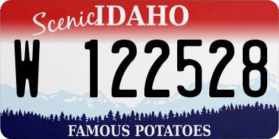 ID license plate W122528