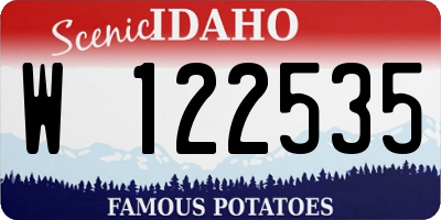 ID license plate W122535