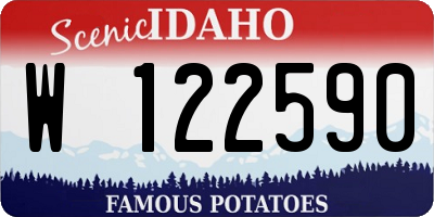 ID license plate W122590