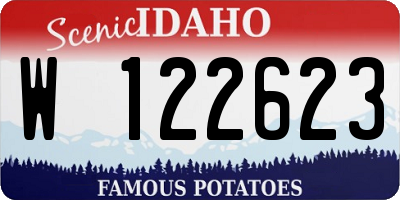 ID license plate W122623