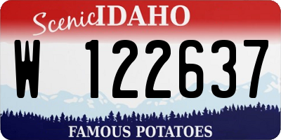 ID license plate W122637