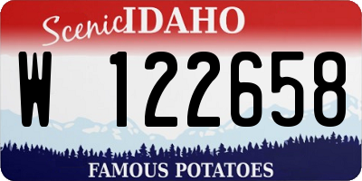 ID license plate W122658