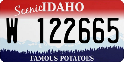 ID license plate W122665