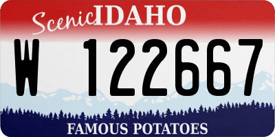 ID license plate W122667
