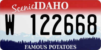 ID license plate W122668
