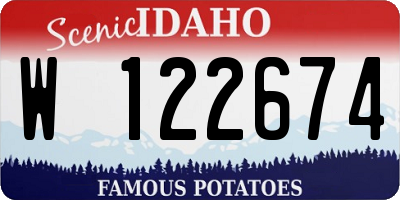ID license plate W122674