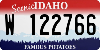 ID license plate W122766