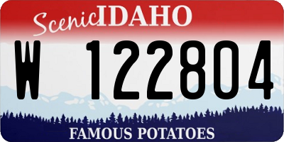 ID license plate W122804