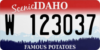 ID license plate W123037