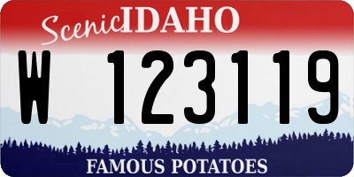 ID license plate W123119