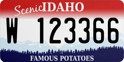 ID license plate W123366