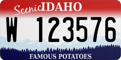ID license plate W123576